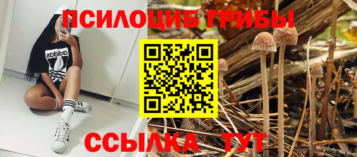Псилоцибиновые грибы Magic Shrooms Лабытнанги